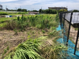 LINE_ALBUM_磐田市竜洋・島田様 草刈り before_230605_0.jpg