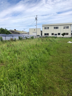 LINE_ALBUM_磐田市竜洋・島田様 草刈り before_230605_6.jpg